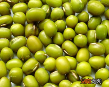 绿豆的功效与作用及禁忌