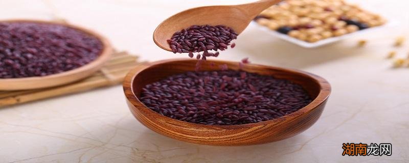 紫米什么样的不是染的 紫米怎么保存放的久一点