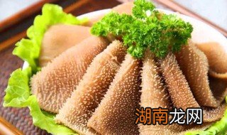 毛肚下火锅怎么做 毛肚火锅的做法