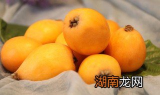 枇杷和什么水果一起榨汁 枇杷榨汁做法介绍