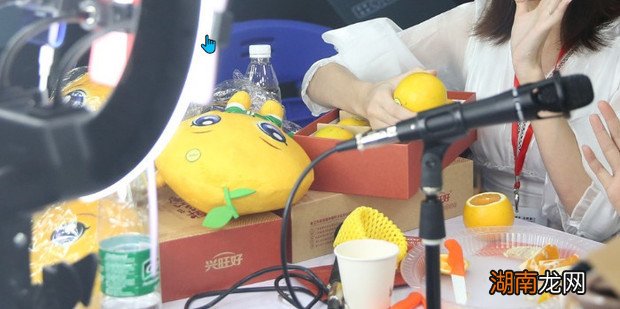 怎样利用网络赚钱