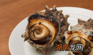 加拿大翡翠螺怎么吃 加拿大翡翠螺怎么做好吃