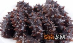 海参怎么存放 海参保存方法介绍