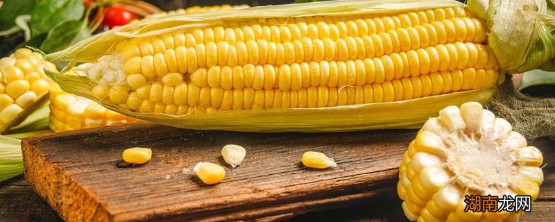 普通玉米能做爆米花吗 普通玉米能榨油吗