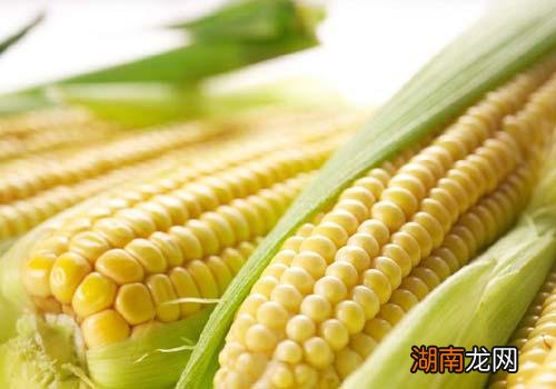 玉米的营养价值