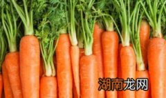 胡萝卜怎么炒 清炒胡萝卜的做法