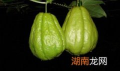 佛手瓜是水果还是蔬菜 佛手瓜怎么做好吃