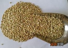 荞麦的营养价值