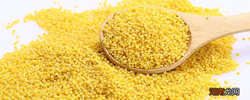 小米用热水还是冷水煮 吃小米粥的好处