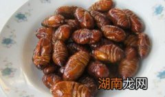 怎么炒蚕蛹好吃 如何炒蚕蛹好吃