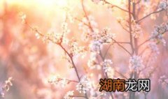 描写春天的句子 有关春天的文艺小清新佳句