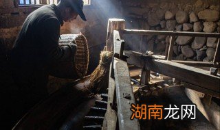 茶籽榨油的正确方法 茶籽榨油的传统方法