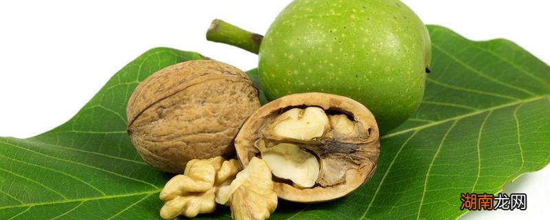 吃核桃对头发有什么好处 一天吃几个核桃对头发好