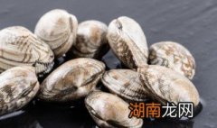 焗花蛤窍门 焗花蛤的方法