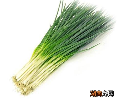 吃葱有什么好处 帮你缓解胃痛有效助眠
