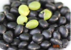 黑豆起了虫子还能吃吗 黑豆起了虫可能有什么危害