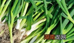 蒜苗炒鸭蛋如何做 怎么做蒜苗炒鸭蛋