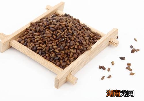 决明子一天喝多少