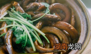 清炖鳝鱼的做法大全 清炖鳝鱼的做法