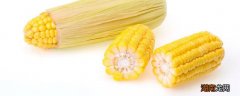 水果玉米吃了会发胖吗 减肥能不能吃水果玉米