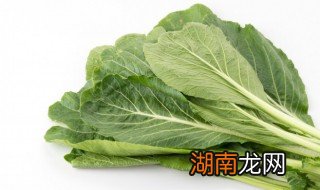 芥兰的做法大全家常凉拌 芥兰的做法大全家常