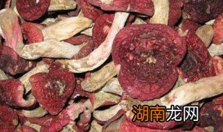 血菇怎么做好吃 血菇怎么做好吃又简单