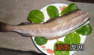 无头鳕鱼到底是啥鱼 无头鳕鱼为什么没有头?