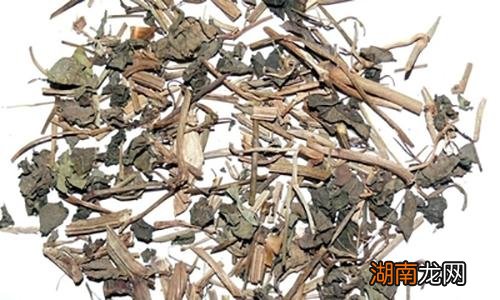 天仙藤的功效与作用