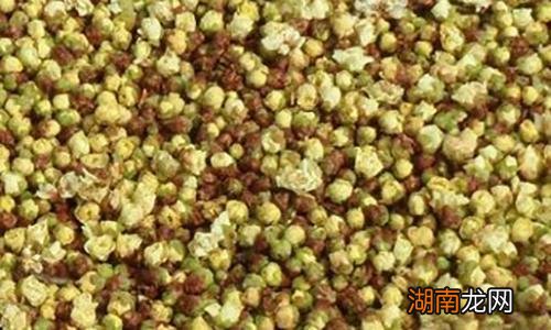 吴茱萸的营养价值