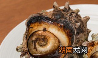 水煮海螺丝的做法大全 水煮海螺丝怎么做