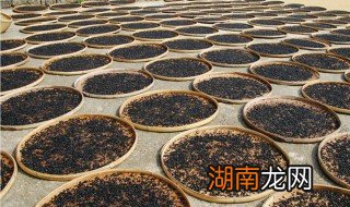 豆豉制作技巧 豆豉怎么制作