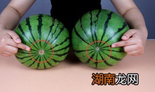 富硒西瓜和普通西瓜区别 富硒西瓜和普通西瓜区别是什么呢