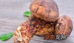 松茸煮几分钟可以吃 新鲜松茸煮几分钟可以吃