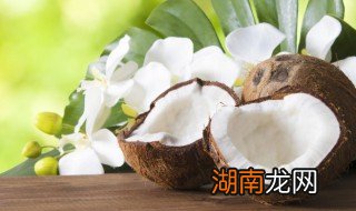 椰子煲鸡汤怎么煲 椰子煲鸡汤的烹饪方法