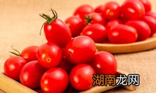 千禧果不能和什么一起吃 千禧果不可以和哪些食物同吃