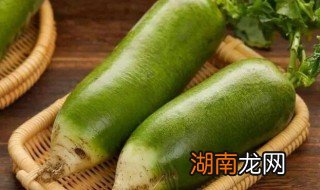 怎样挑选好的青萝卜 怎么挑青萝卜好吃