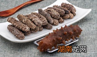 海参是什么 有关海参的资料