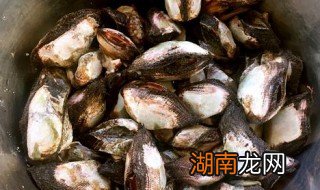 毛蚶罐头的做法 怎样做毛蚶罐头