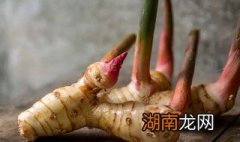 南姜是不是良姜 南姜和良姜是一样的吗