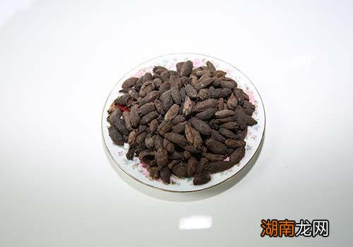 母丁香的功效与作用