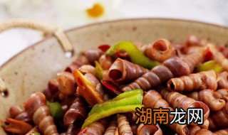 锥螺的做法 锥螺的做法与步骤