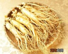 怎么食用新鲜人参 鲜参药膳食用方法