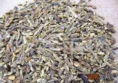 槐角的营养价值