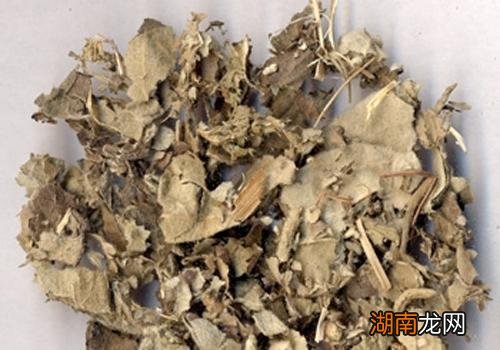 地耳草的功效与作用