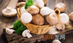 野生菌怎么炒吃了安全 怎样安全的吃野生菌