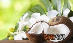 椰肉炖牛奶做法窍门图片 椰肉炖牛奶做法窍门