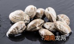 蛤蜊蒸蛋的做法大全 蛤蜊蒸蛋的烹饪方法