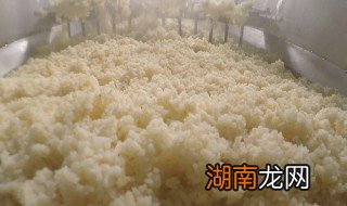 米酒发酵时间是多久啊 米酒发酵时间是多久