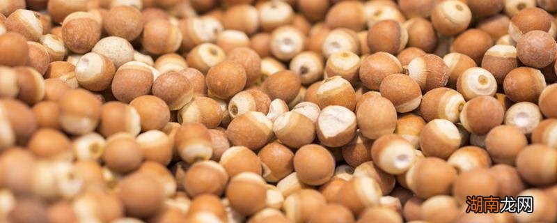 大粒芡实好还是小粒芡实好 芡实大粒好还是小粒好