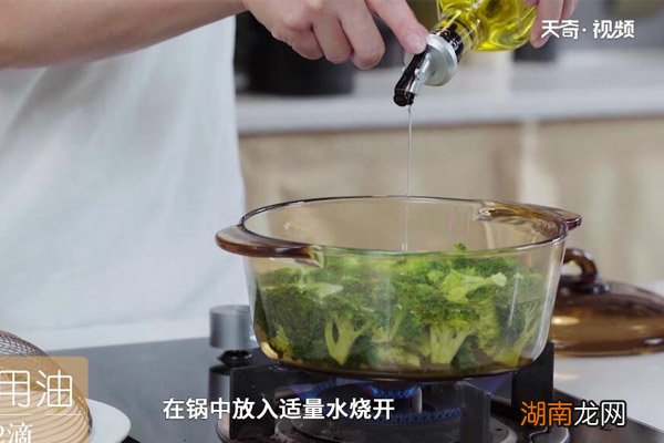 西兰花的做法大全家常 西兰花的做法